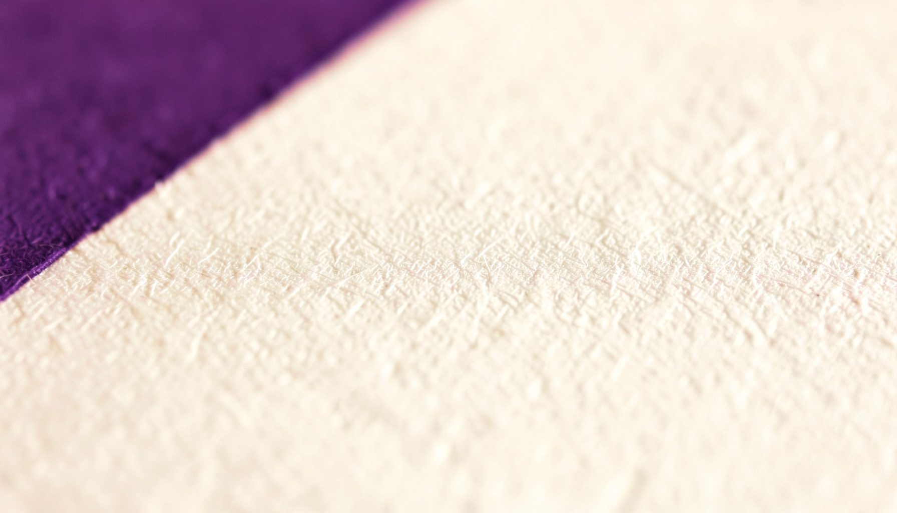 Extreme close-up of matte white paper grain with subtle fibrous texture, soft diffused lighting, warm ivory tones