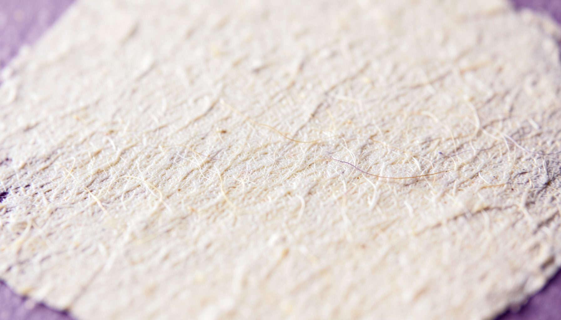 Extreme close-up of textured off-white paper grain with subtle fibrous strands, warm cream tones, and a soft matte surface under diffuse natural light.